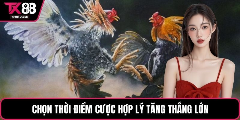 Chọn thời điểm cược hợp lý tăng thắng lớn
