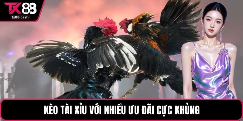 Kèo tài xỉu với nhiều ưu đãi cực khủng